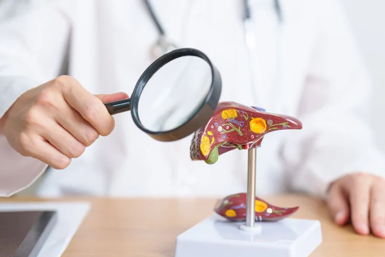 imagen-hepatitis-b-blog-via-libre